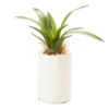 Mini Faux Greenery In White Ceramic Pot
