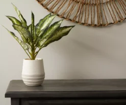 Zebra Plant In Ceramic Pot -Broyhill 810509522 2