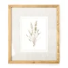 Botanical Linen Framed Print