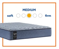 Broyhill By Sealy Galveston Medium Tight Top Mattress 25 Broyhill By Sealy Galveston Medium Tight Top Mattress -Broyhill 810548958 3