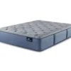 Perfect Sleeper Seymour Queen Plush Mattress