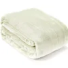 Sage Twin/Full Plush Velvet Blanket